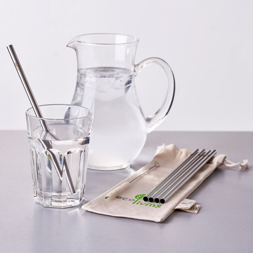 Stainless Steel Drinking Straw - Smoothie Size
